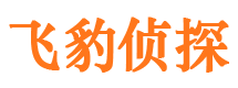 兴平侦探公司